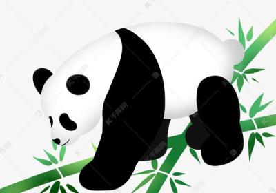 熊猫吃竹子简笔画（熊猫吃竹子简笔画教程）