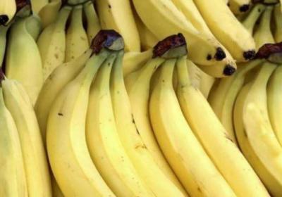月经期可以吃香蕉吗（月经期可以吃香蕉吗吗）