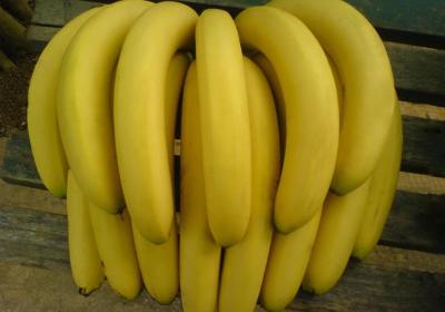 香蕉的热量高吗适合减肥吗（公认最快21天减肥食谱）